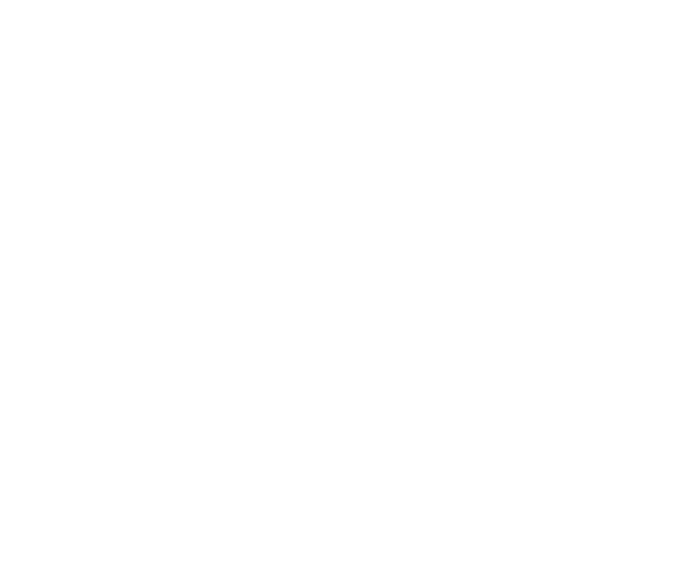 BSMT Ventures